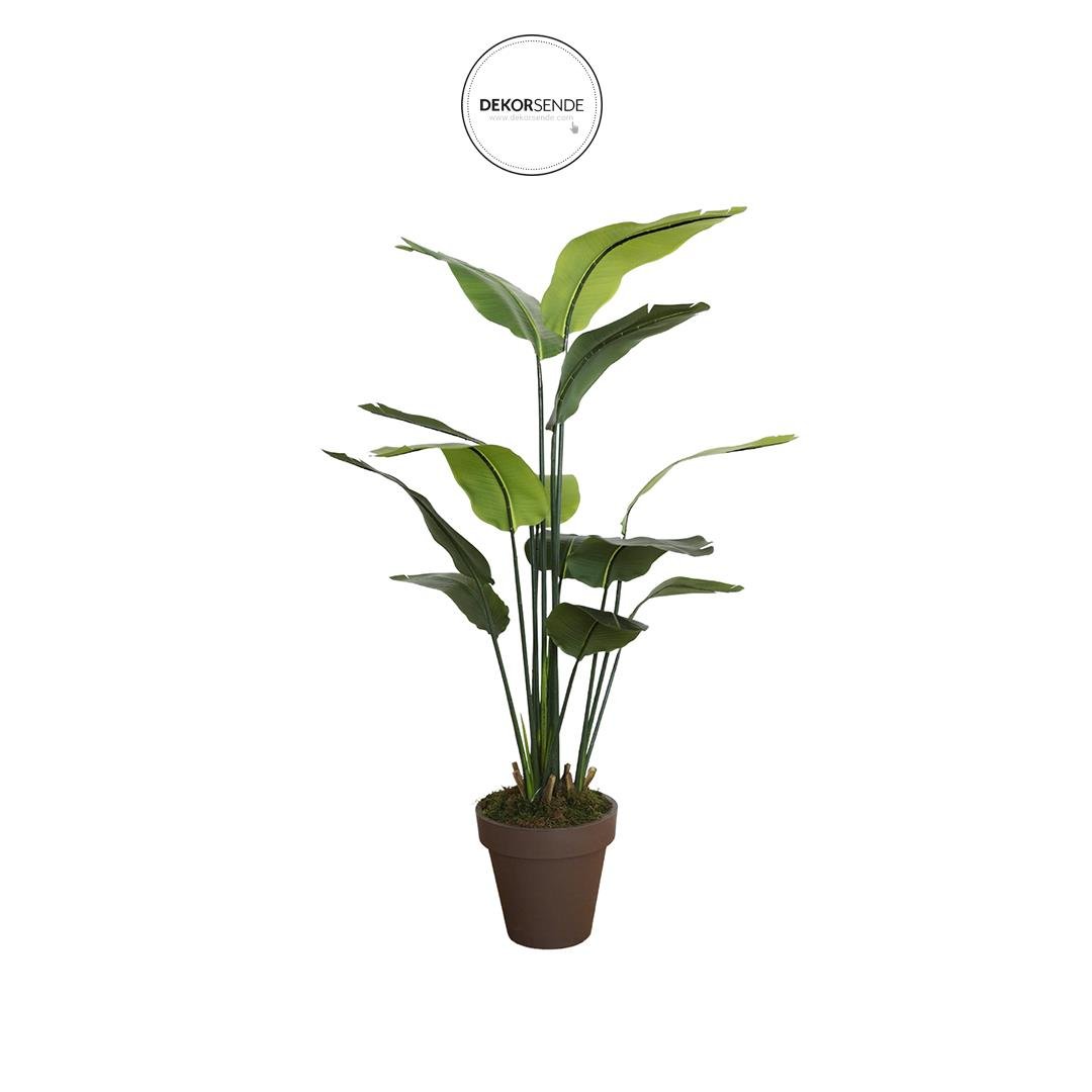 Yapay Tropik Starliçe Ağacı 155 cm - Yapay Egzotik Ağaçlar