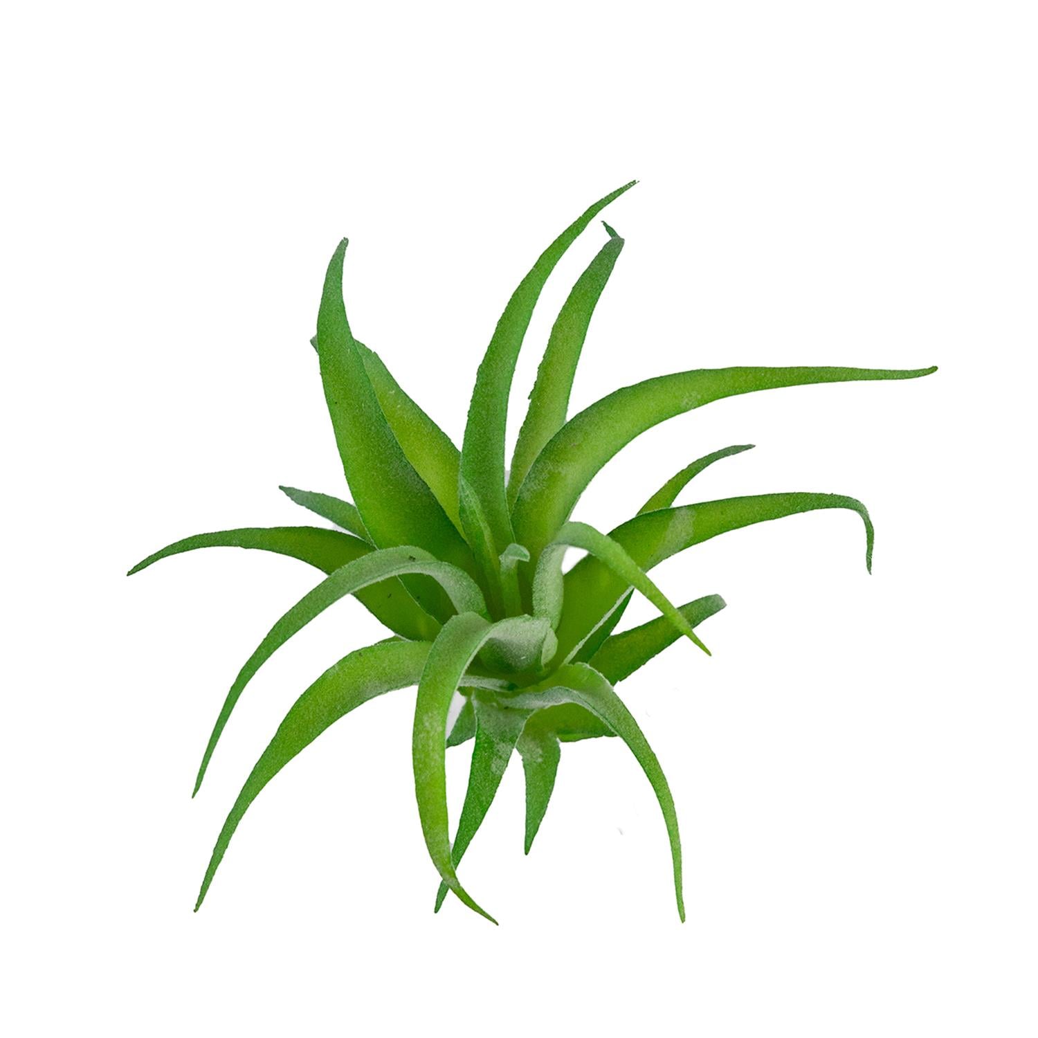 Yapay Tüylü Tillandsia Sukulent Açık Yeşil 17 cm - Sukulentler ve Kaktüsler