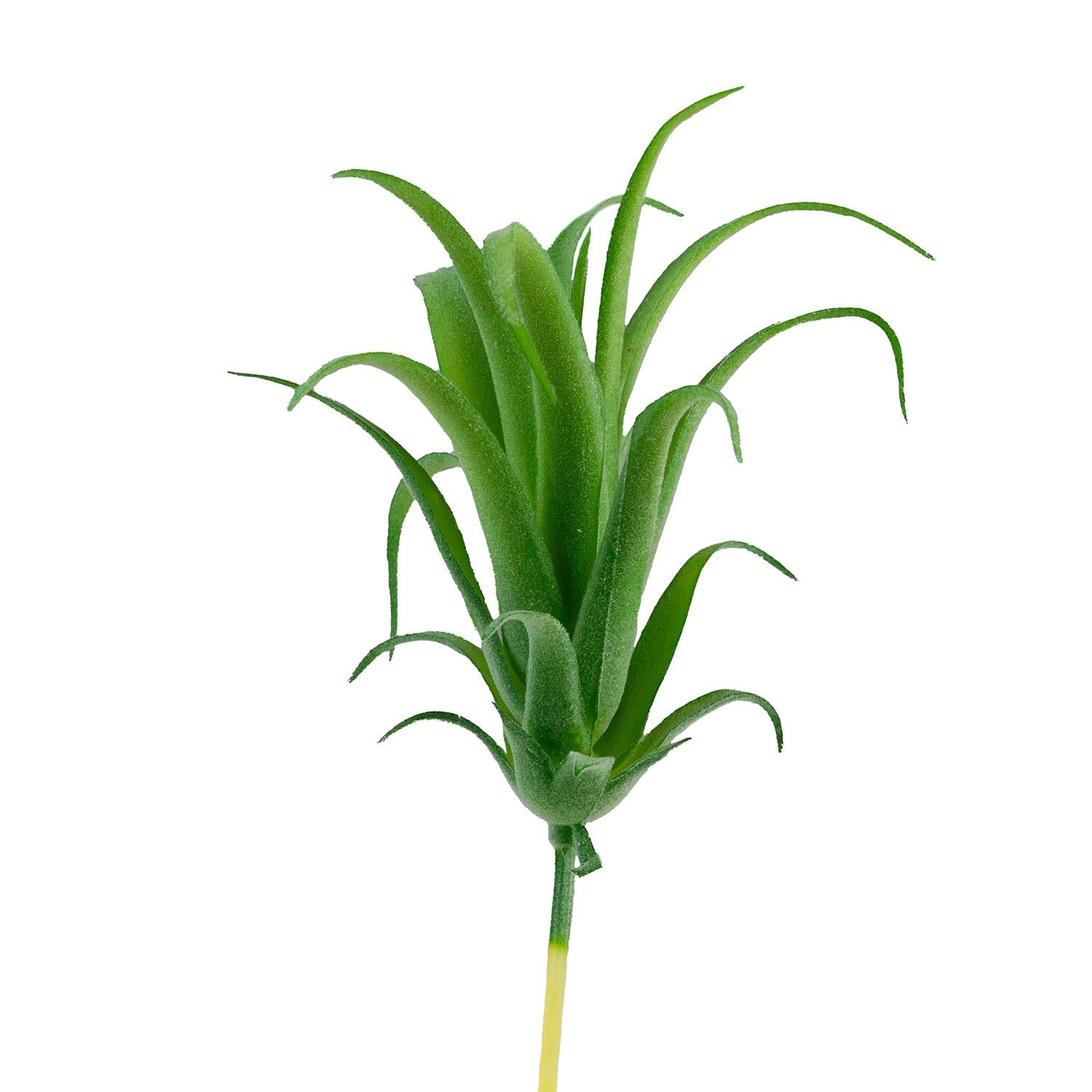 Yapay Tüylü Tillandsia Sukulent Açık Yeşil 17 cm - Sukulentler ve Kaktüsler