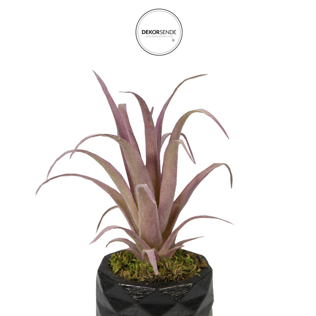 Yapay Tüylü Tillandsia Sukulent Lila 17 cm Saksılı - Sukulentler ve Kaktüsler