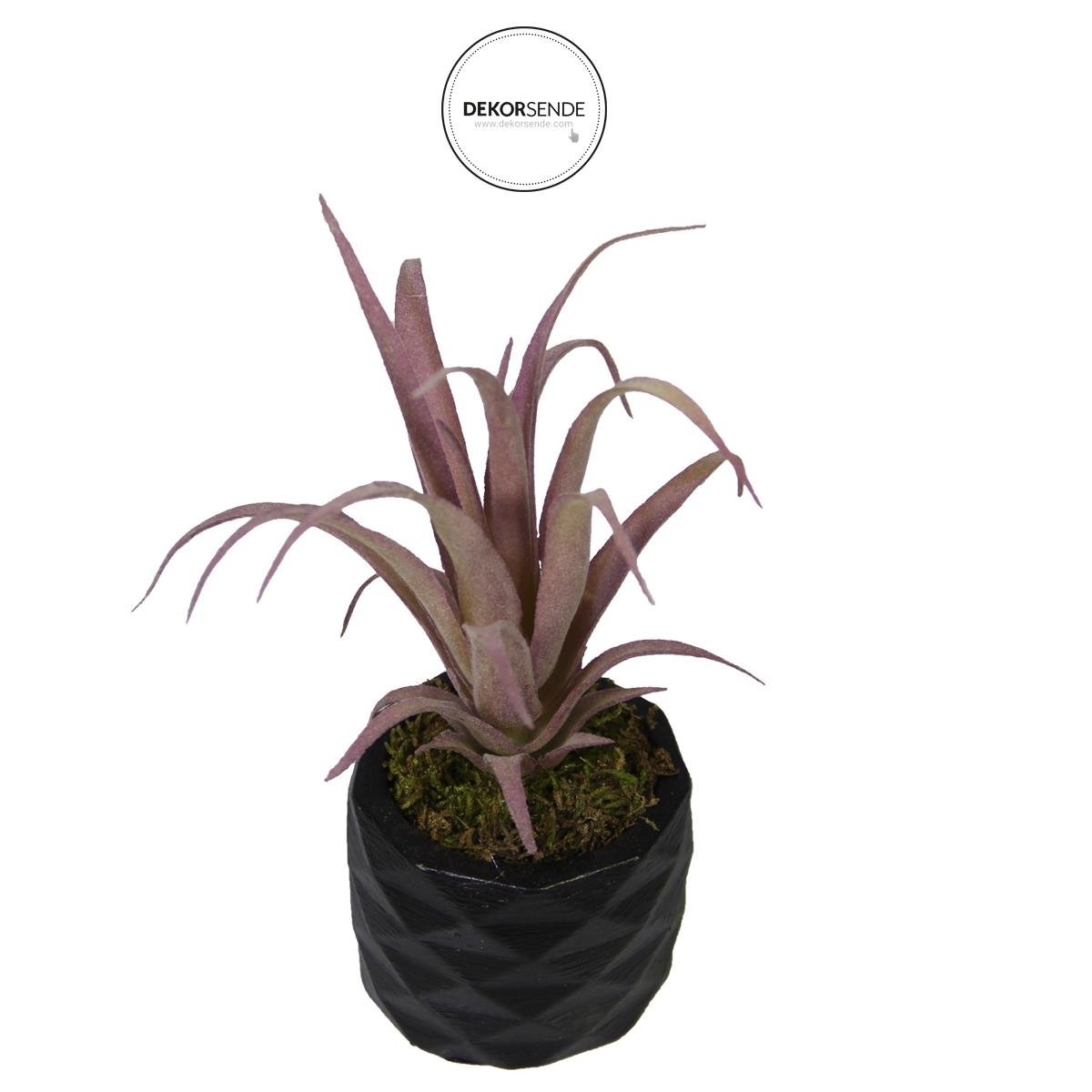 Yapay Tüylü Tillandsia Sukulent Lila 17 cm Saksılı - Sukulentler ve Kaktüsler