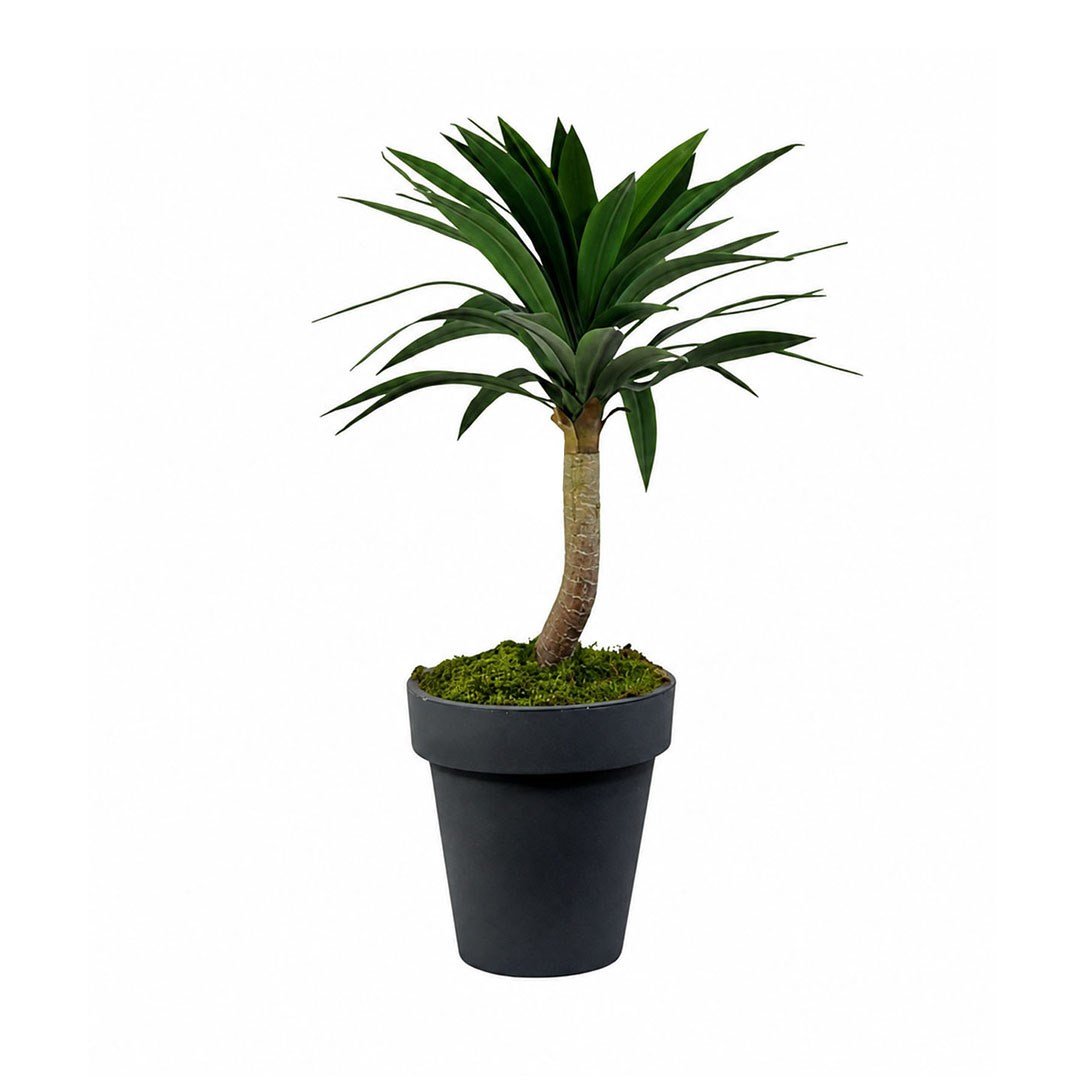 Yapay Yucca Agave Ağaç Yeşil 80 cm - Kategorisiz