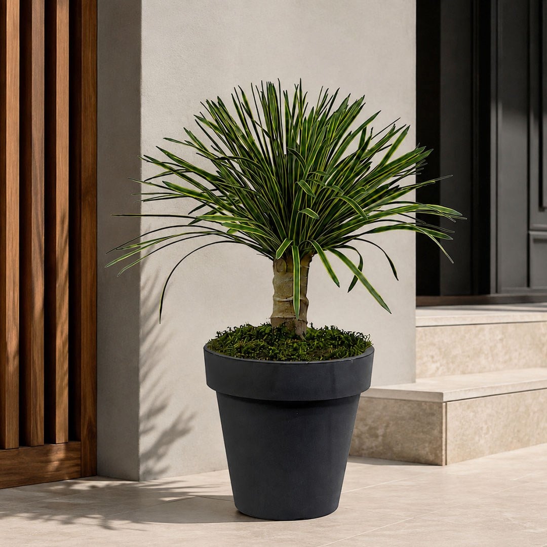 Yapay Yucca Filamentosa Ağaç Sarı Yeşil 65 cm - Kategorisiz