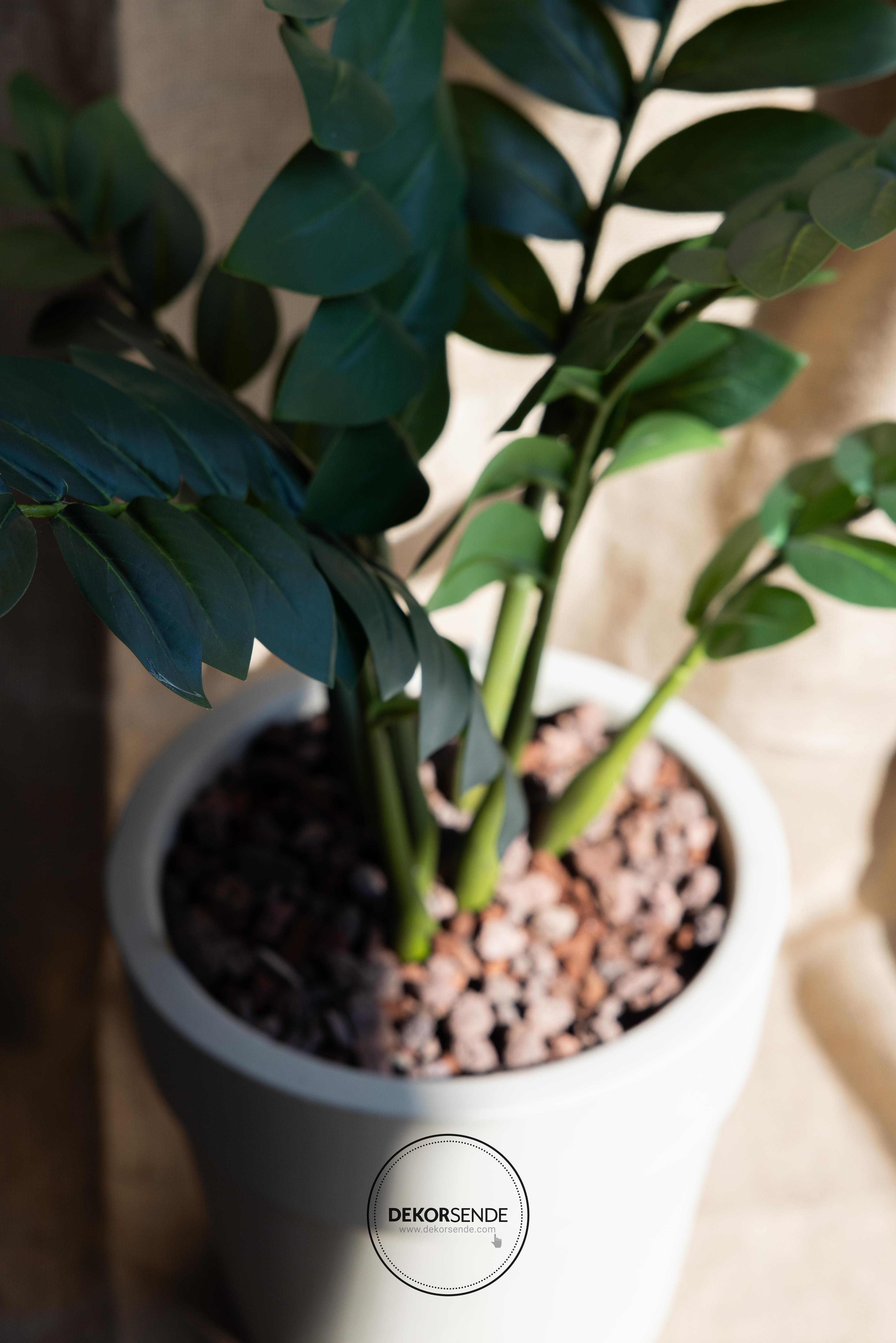 Yapay Zambia Ağacı 80 cm - Yapay Egzotik Ağaçlar