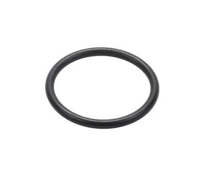 PHARMCOM SEAL RING DN40 FPM DIN11864 A