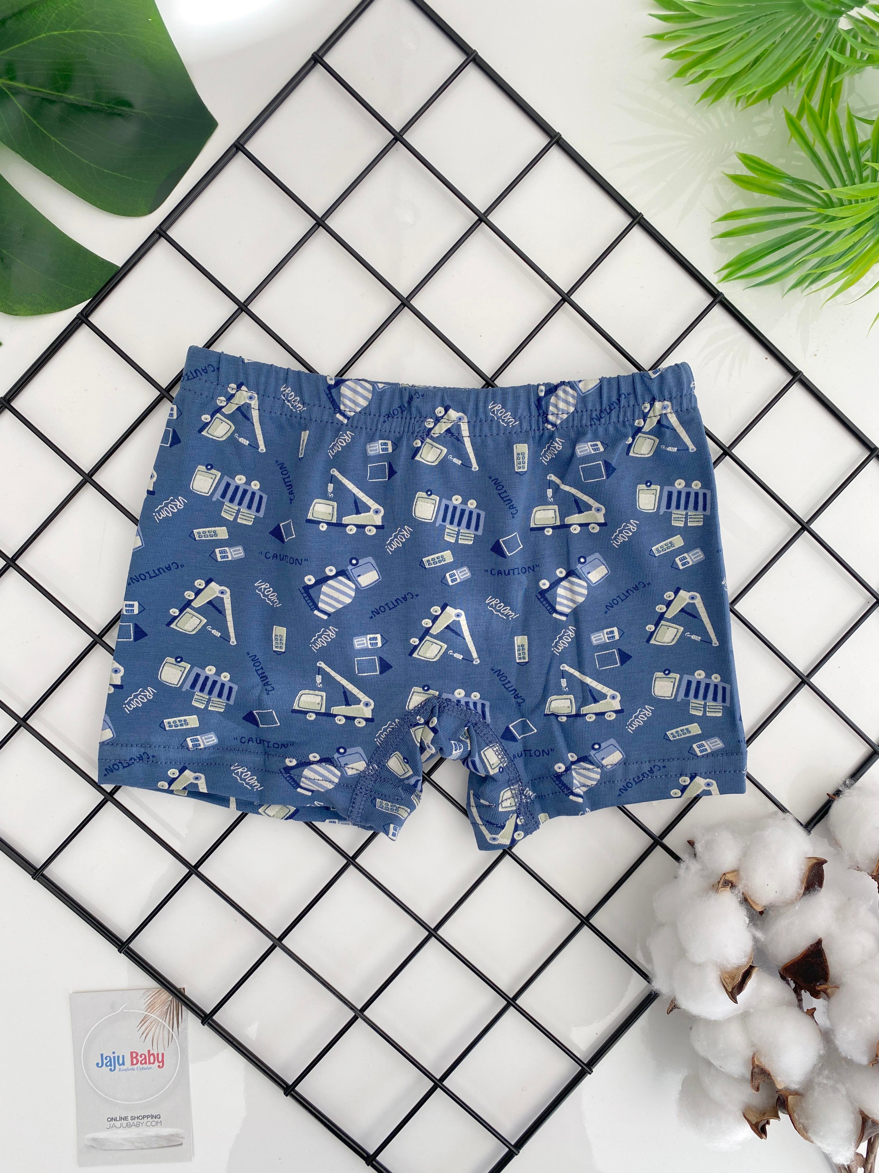 Jaju Baby Erkek Çocuk Mavi Renk Desenli Boxer