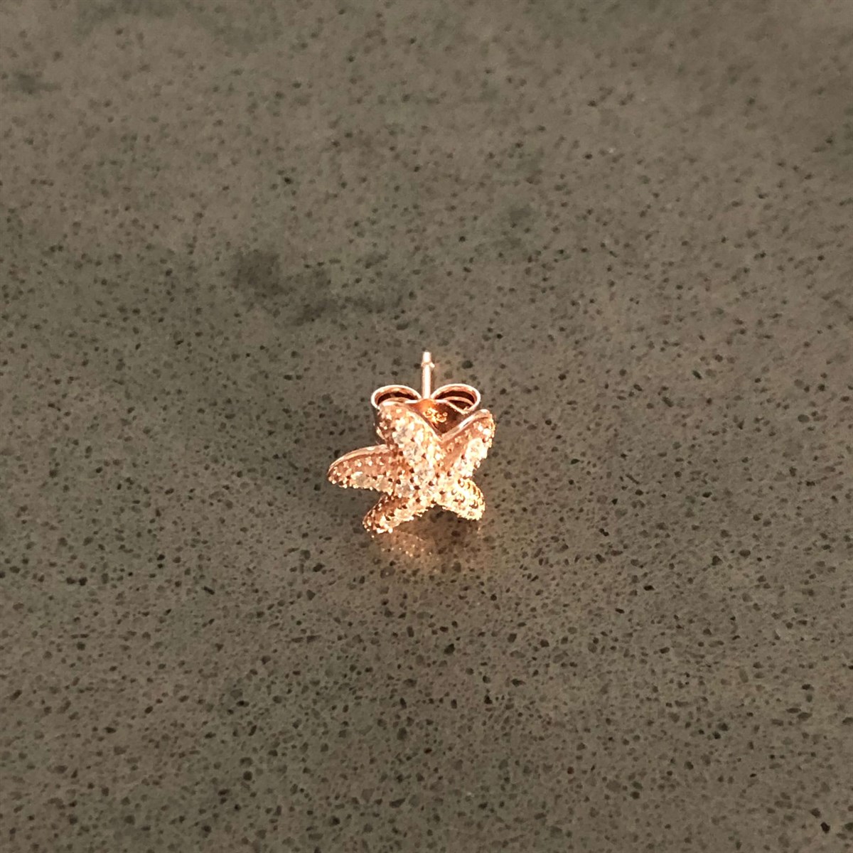 Mini Deniz Yıldız İthal Küpe