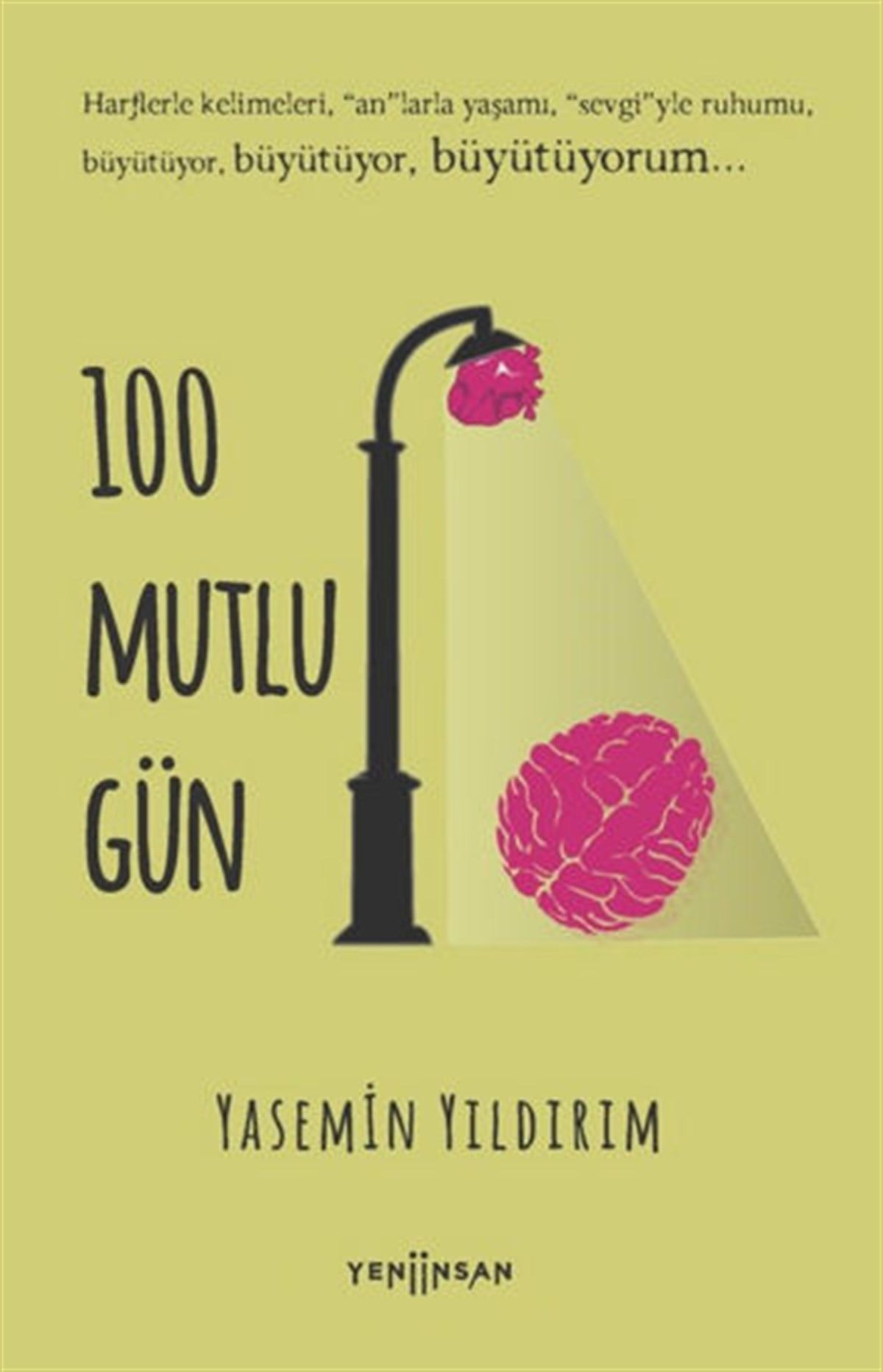 Yasemin YıldırımTürkische Romane100 Mutlu Gün