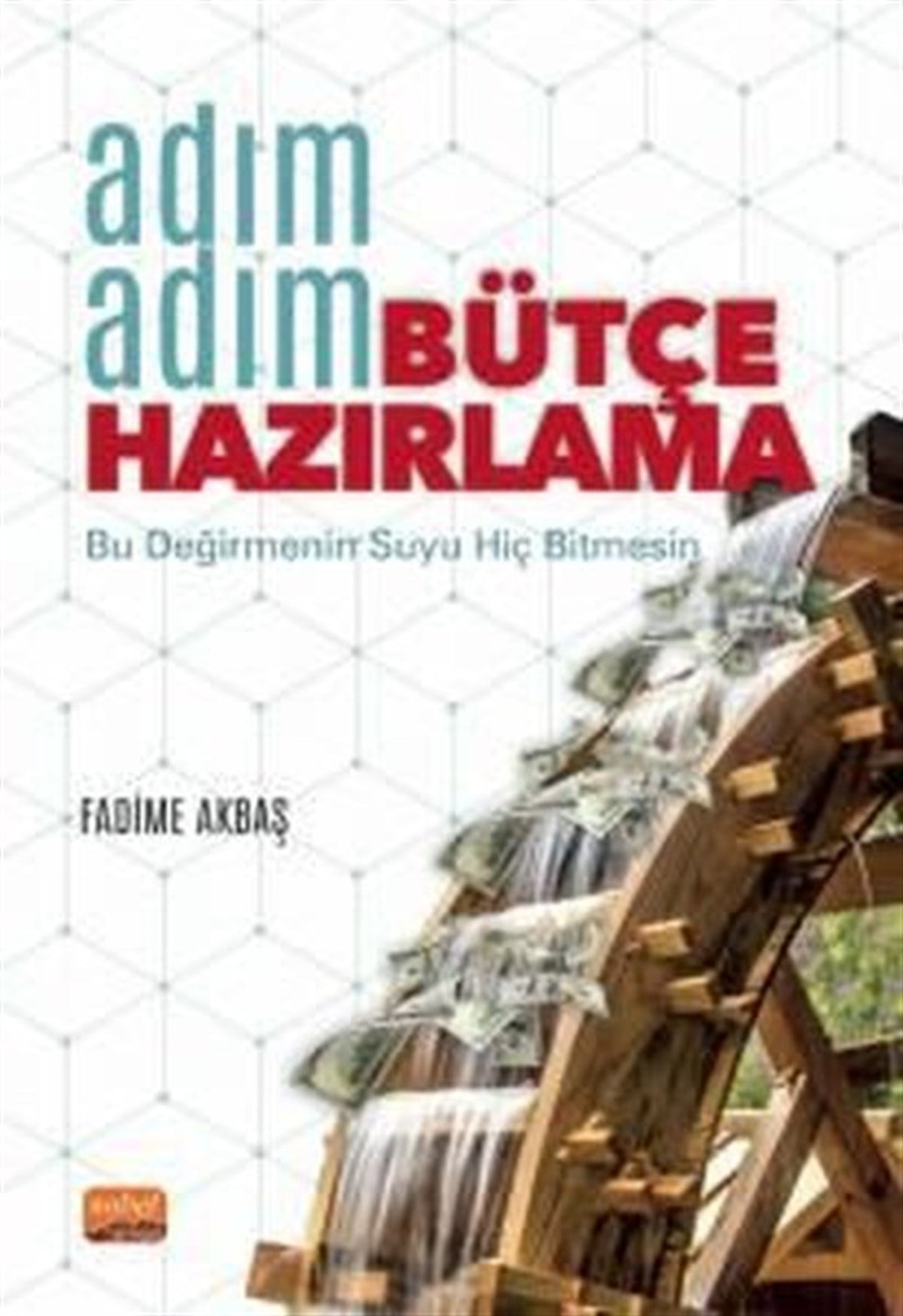 Fadime AkbaşEğitimAdım Adım Bütçe Hazırlama