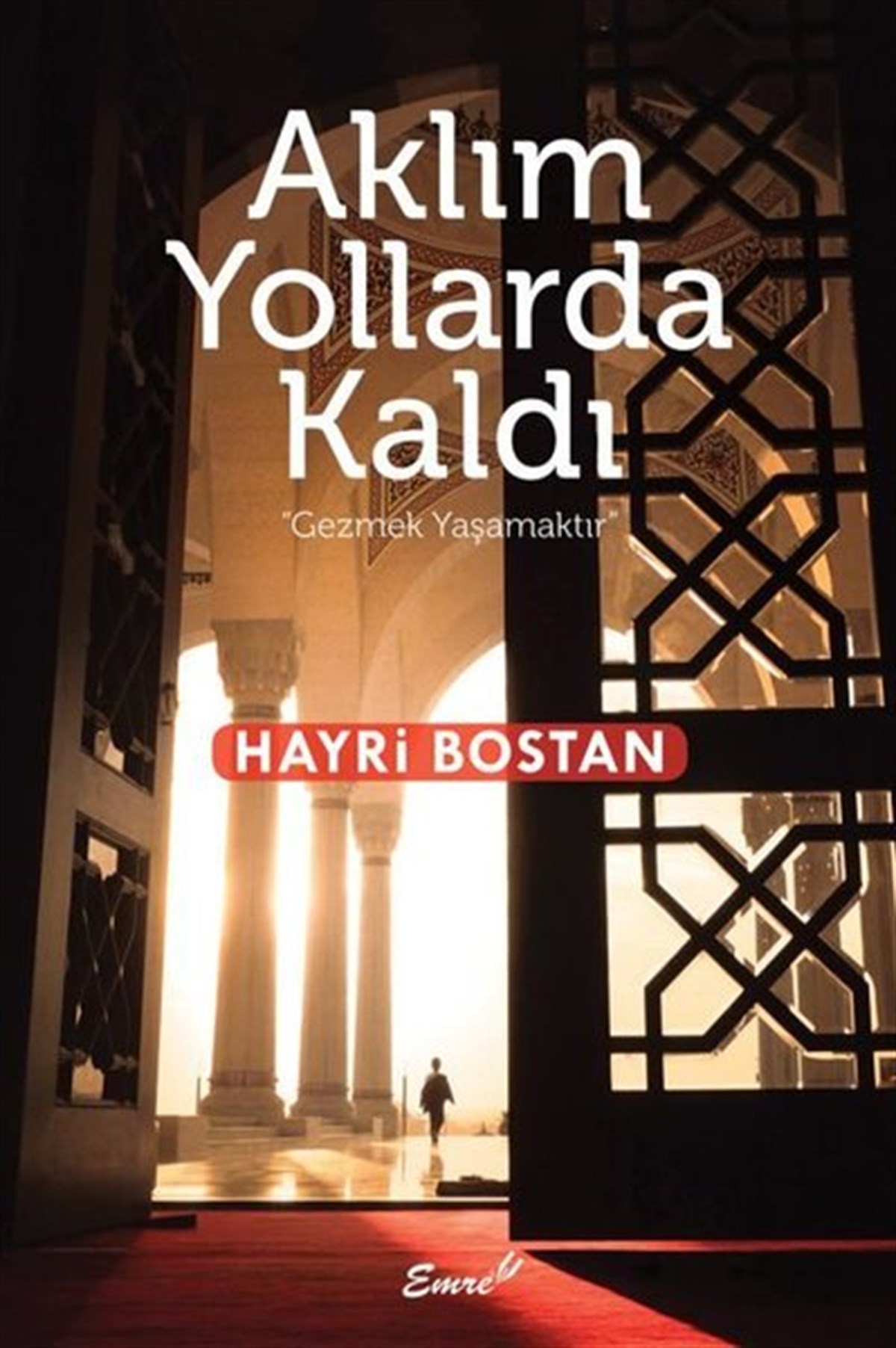 Hayri BostanAnı & Mektup & Günlük KitaplarıAklım Yollarda Kaldı