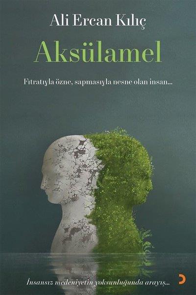 Ali Ercan KılıçTürkische RomaneAksülamel