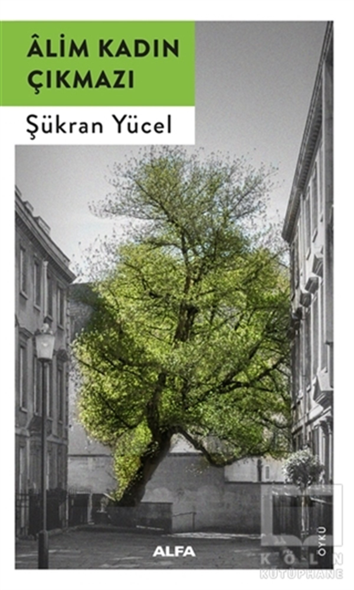Şükran YücelHikaye (Öykü) KitaplarıAlim Kadın Çıkmazı