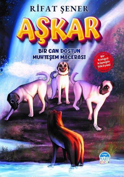 Rıfat ŞenerÇocuk Gençlik Romanları