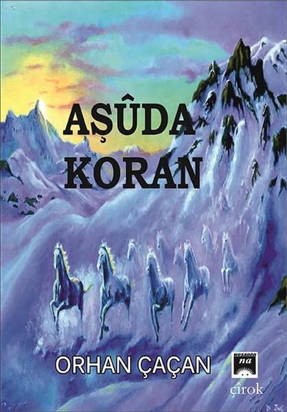 Orhan ÇaçanHikaye (Öykü) Kitapları