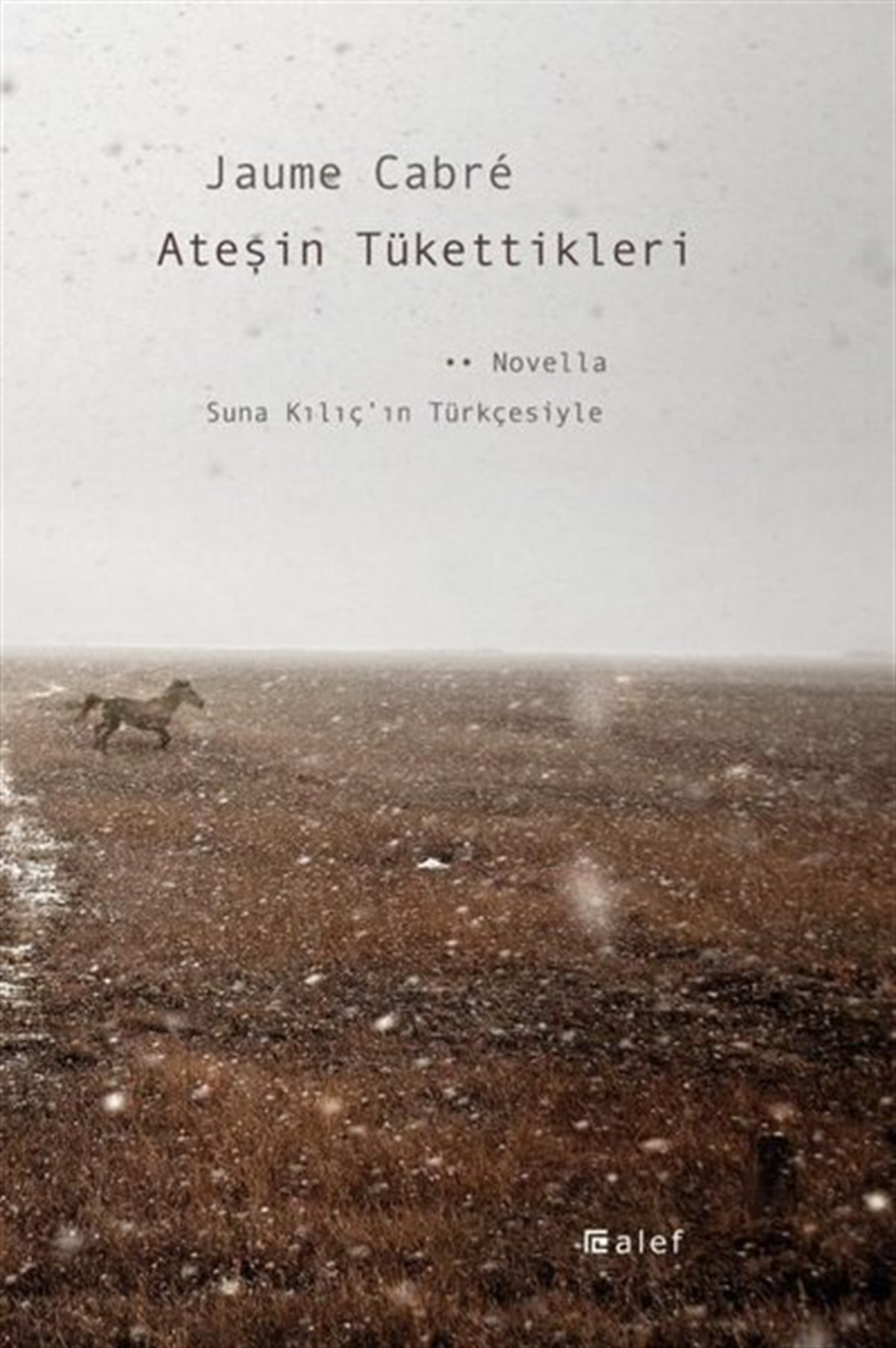 Jaume CabreDünya RomanAteşin Tükettikleri