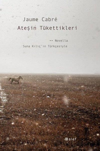 Jaume CabreDünya RomanAteşin Tükettikleri