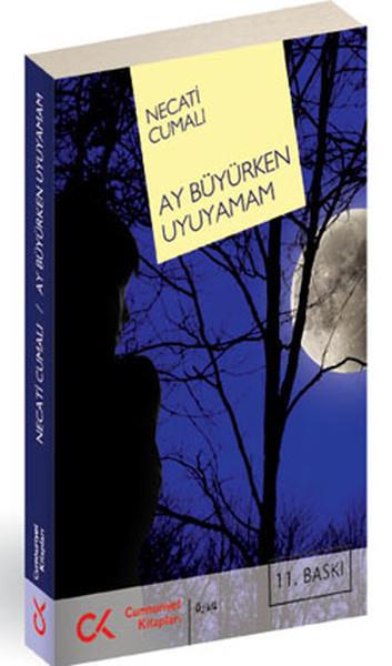 Necati CumalıTürk RomaniAy Büyürken Uyuyamam