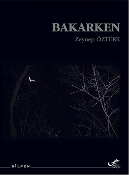 Nilay ÜrelTürk ŞiiriBakarken
