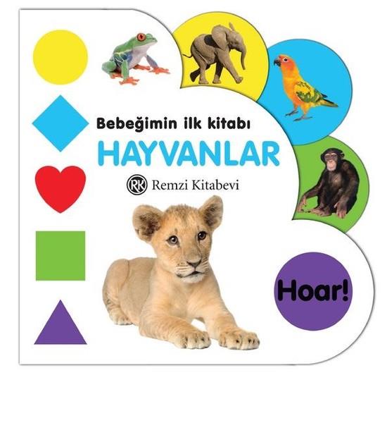 KolektifZeka Gelişimi Kitapları