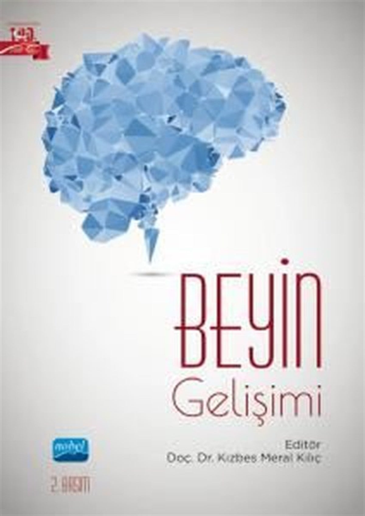 KolektifEğitimBeyin Gelişimi