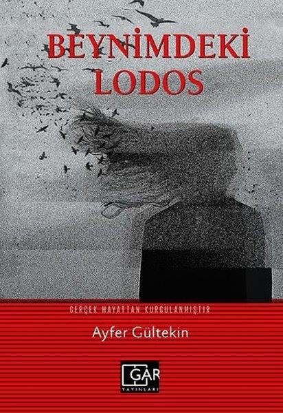 Ayfer GültekinAnlatıBeynimdeki Lodos