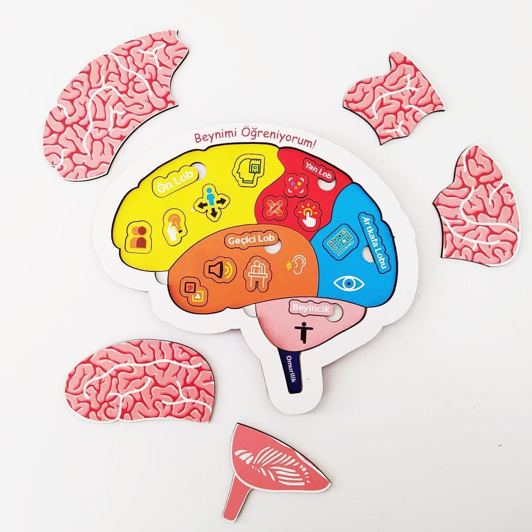 Beynimi Öğreniyorum Ahşap Puzzle - Çocuk Yapboz - 5 Yaş ve Üzeri Eğitime Yardımcı Oyuncak