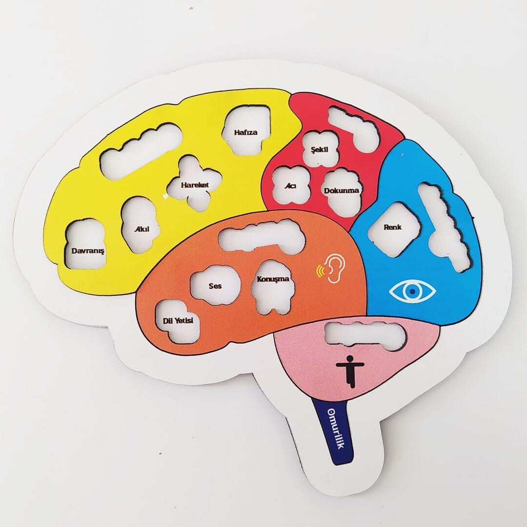 Beynimi Öğreniyorum Ahşap Puzzle - Çocuk Yapboz - 5 Yaş ve Üzeri Eğitime Yardımcı Oyuncak