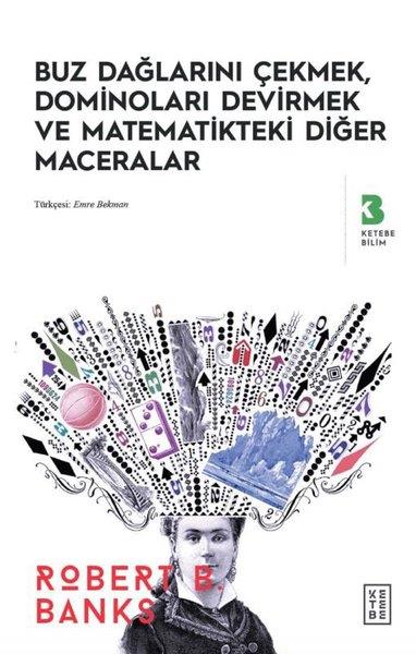 Robert B. BanksWissenschaftsgeschichteBuz Dağlarını Çekmek Dominoları Devirmek ve Matematikteki Diğer Maceralar
