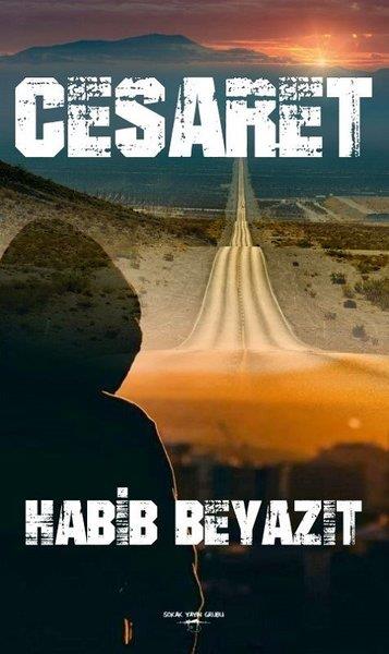 Habİb BeyazıtTürkçe Romanlar