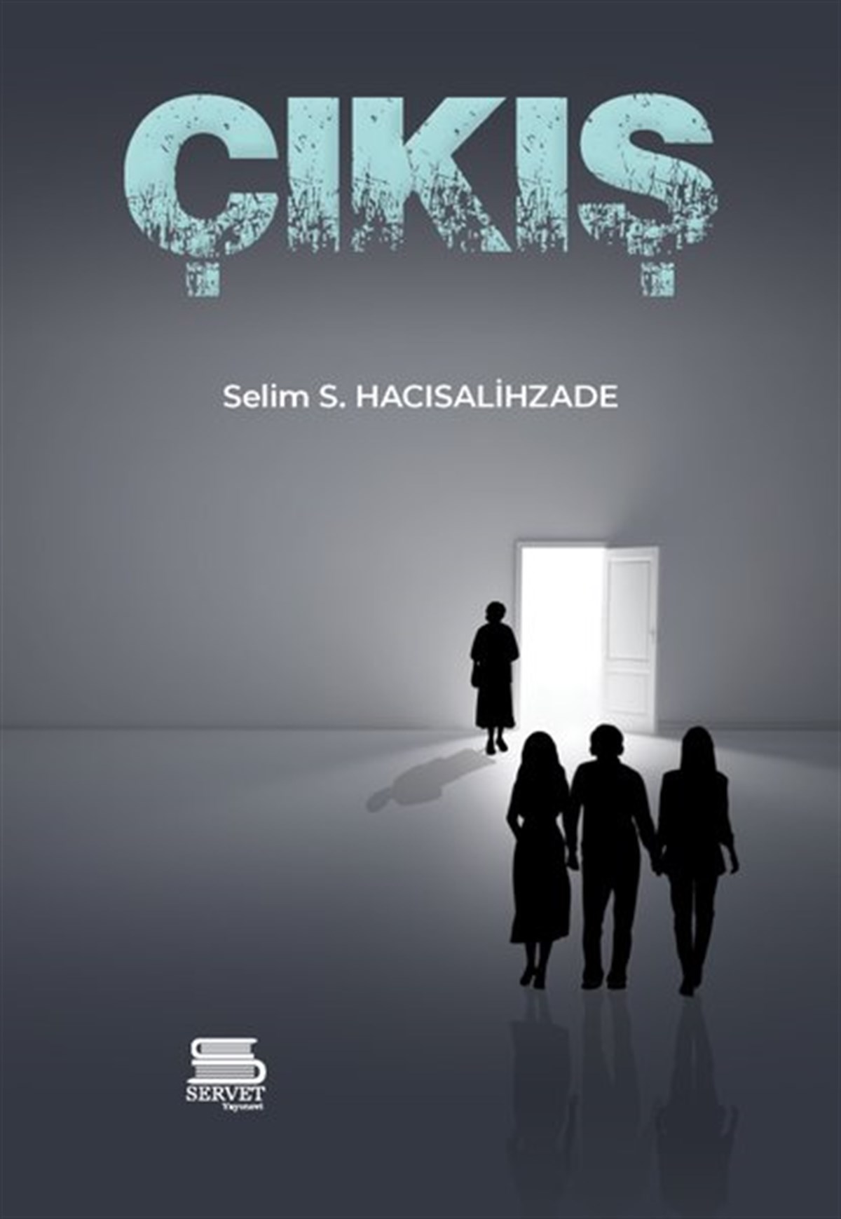 Selim S. HacısalihzadeTürkiye RomanÇıkış
