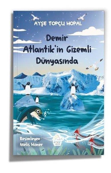 Ayşe Topçu HopalÇocuk Gençlik RomanlarıDemir Atlantik'in Gizemli Dünyasında