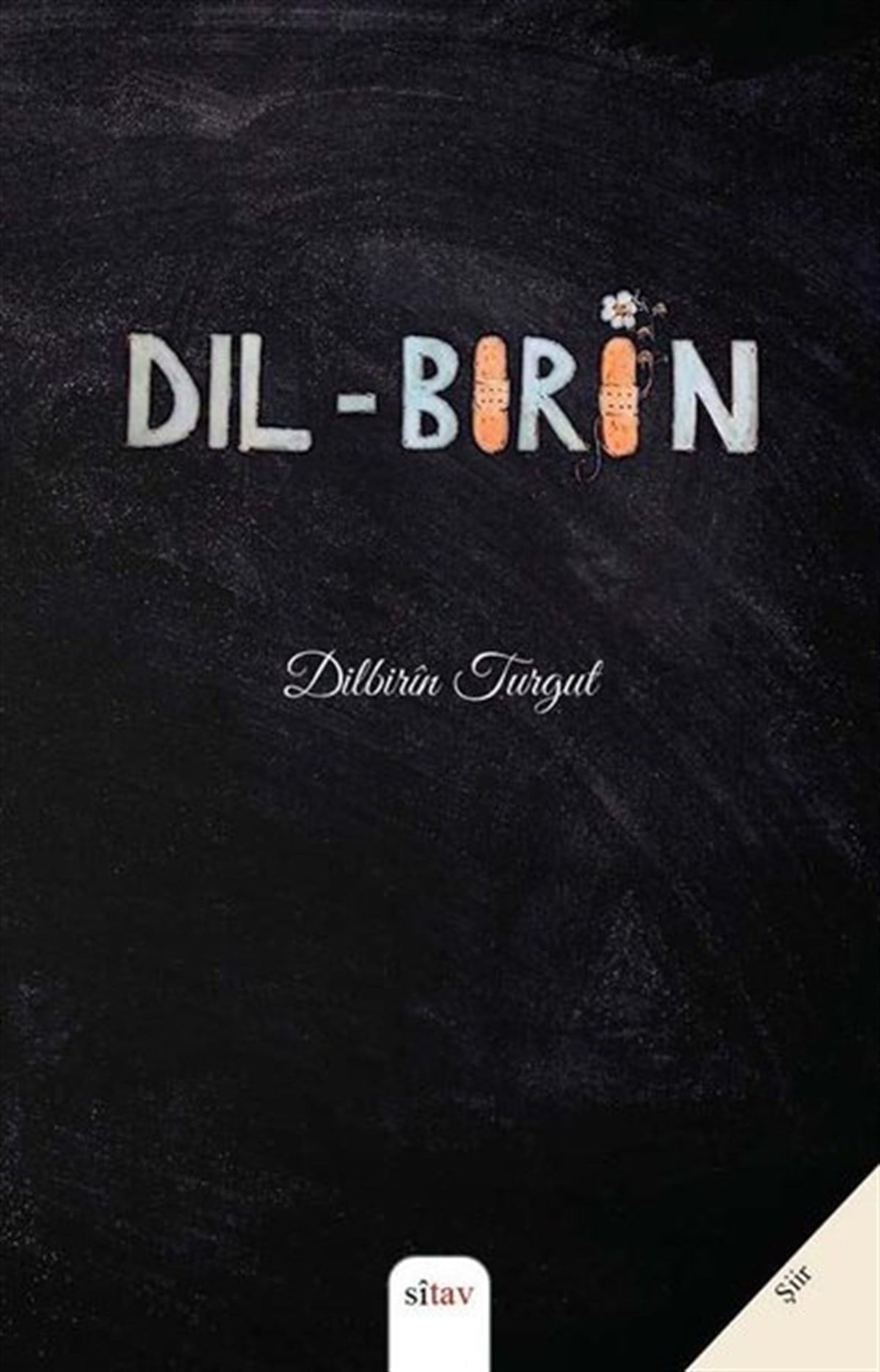 Dilbirin TurgutTürk ŞiiriDil-Birin