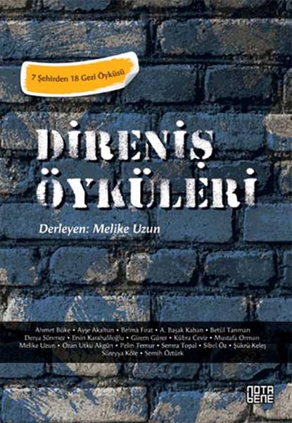 Melike UzunHikaye (Öykü) KitaplarıDireniş Öyküleri