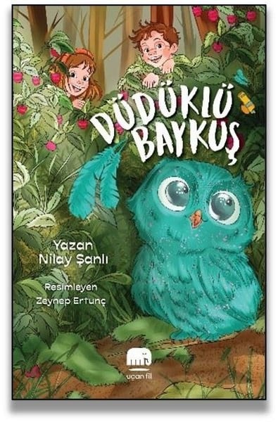 Nilay ŞanlıÇocuk Gençlik RomanlarıDüdüklü Baykuş