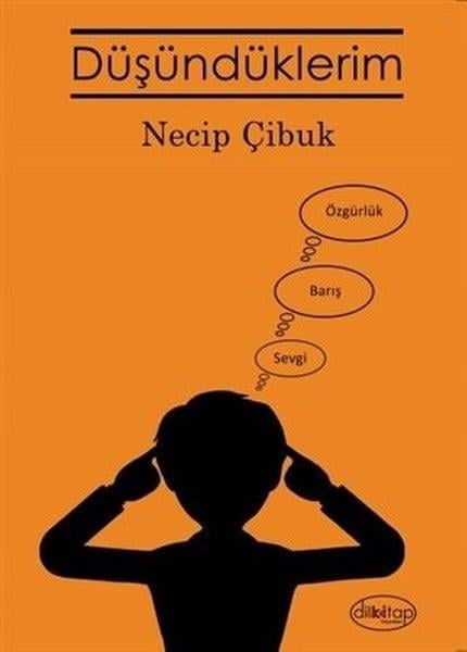 Necip ÇibukTürkçe Şiir KitaplarıDüşündüklerim