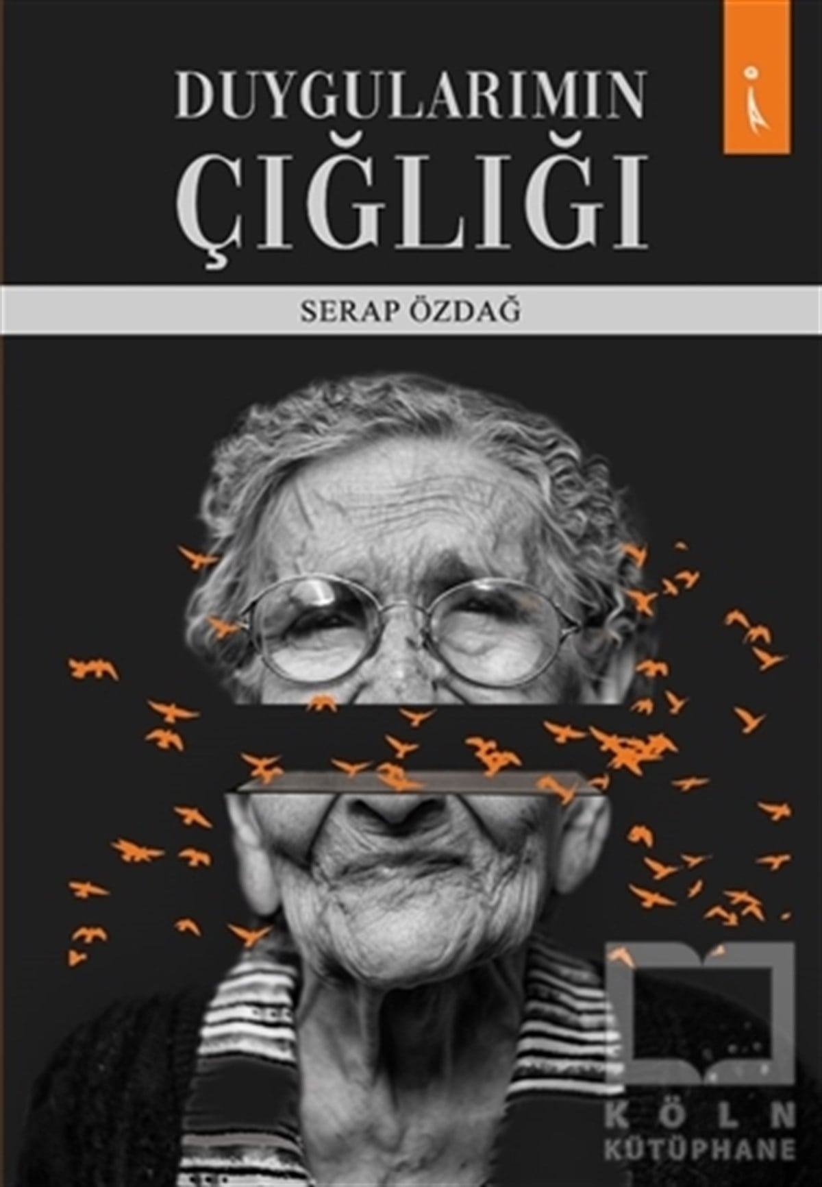 Serap ÖzdağDeneme KitaplarıDuygularımın Çığlığı