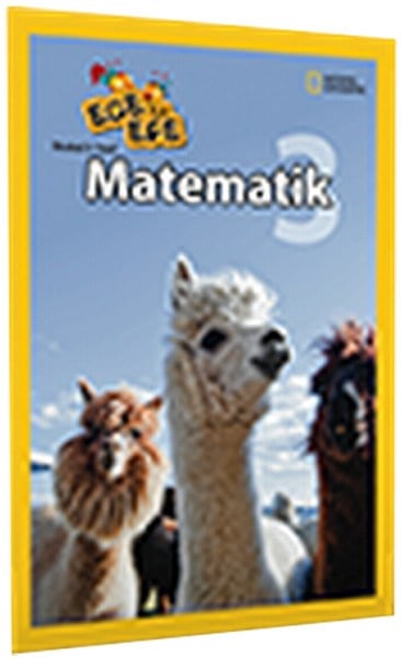 Uğur KaramanEtkinlik KitaplarıEce ile Efe Matematik 3