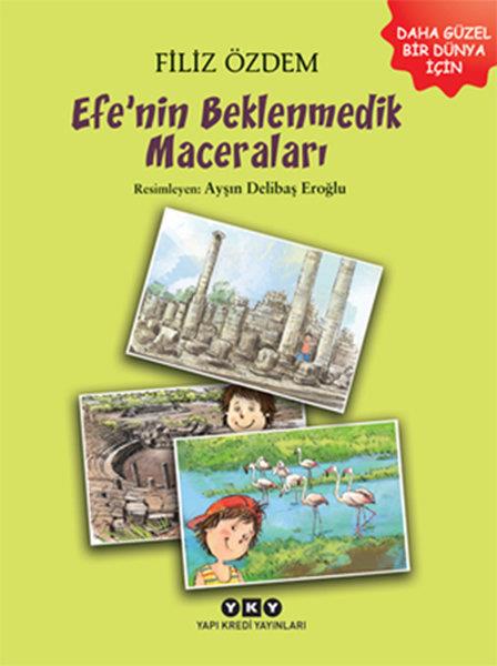 Ayşın Delibaş EroğluÇocuk RomanlarıEfe'nin Beklenmedik Maceraları