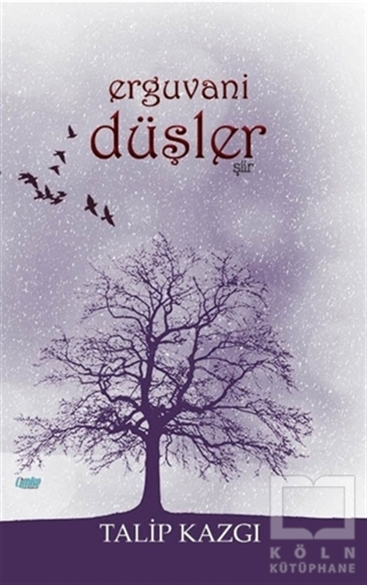 Talip KazgıŞiirErguvani Düşler