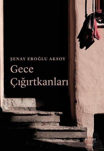 Şenay Eroğlu AksoyTürkiye RomanGece Çığırtkanları