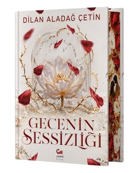 Dilan Aladağ ÇetinTürk RomaniGecenin Sessizliği