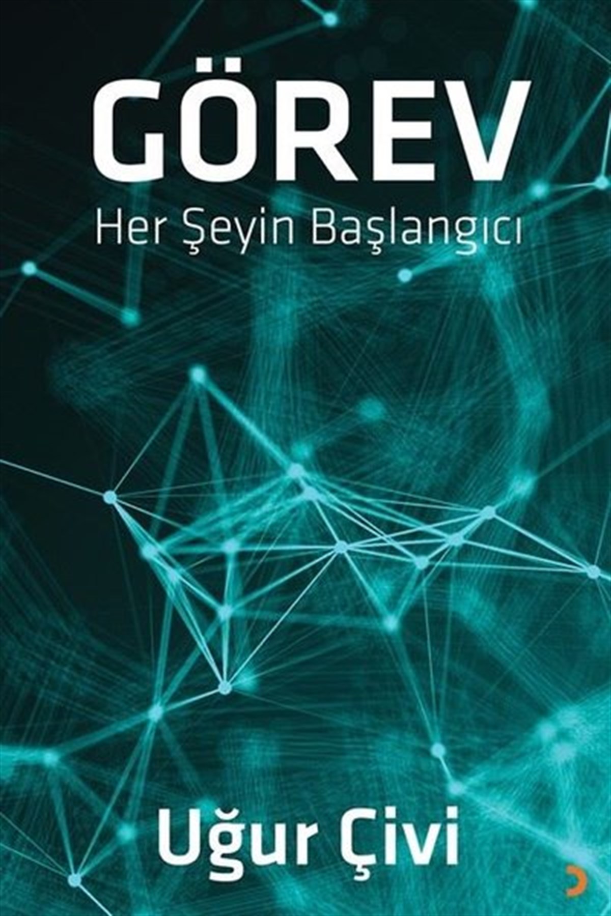 Uğur ÇiviTürkiye RomanGörev