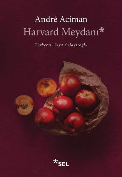 Andre AcimanDünya RomanHarvard Meydanı