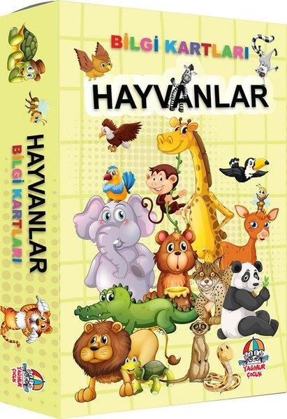 KolektifDiğerHayvanlar - Bilgi Kartları
