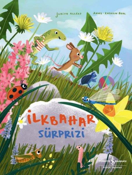 Judith AllertEgitim Etkinlik Kitaplariİlkbahar Sürprizi