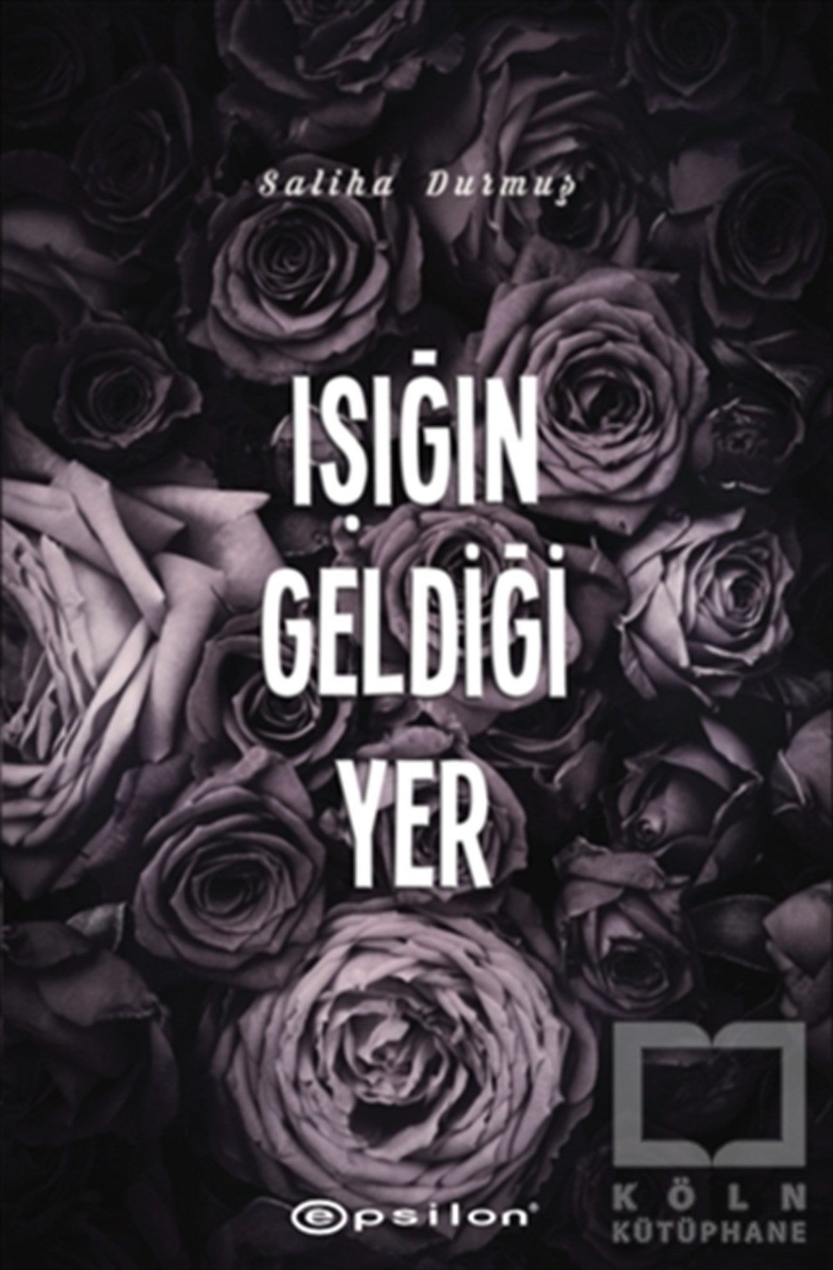 Saliha DurmuşRomanIşığın Geldiği Yer