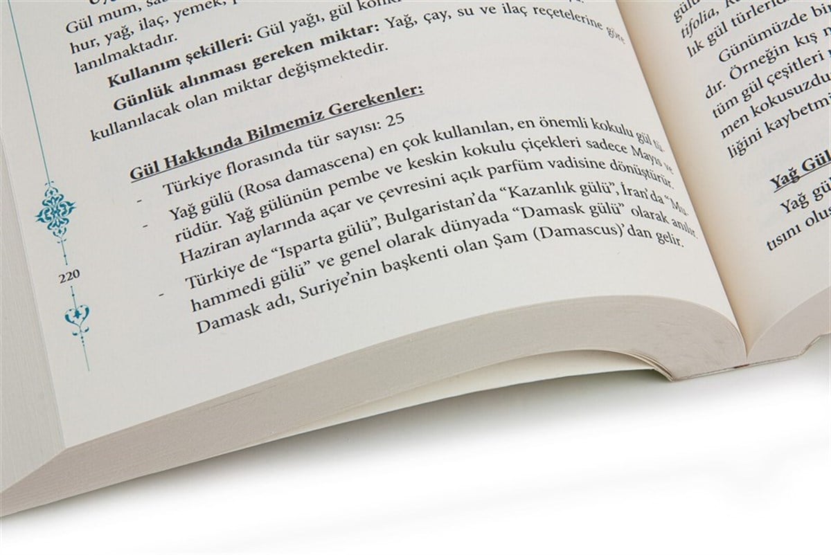 Kainat Eczanesi - Zeynep Işık Büyükbay