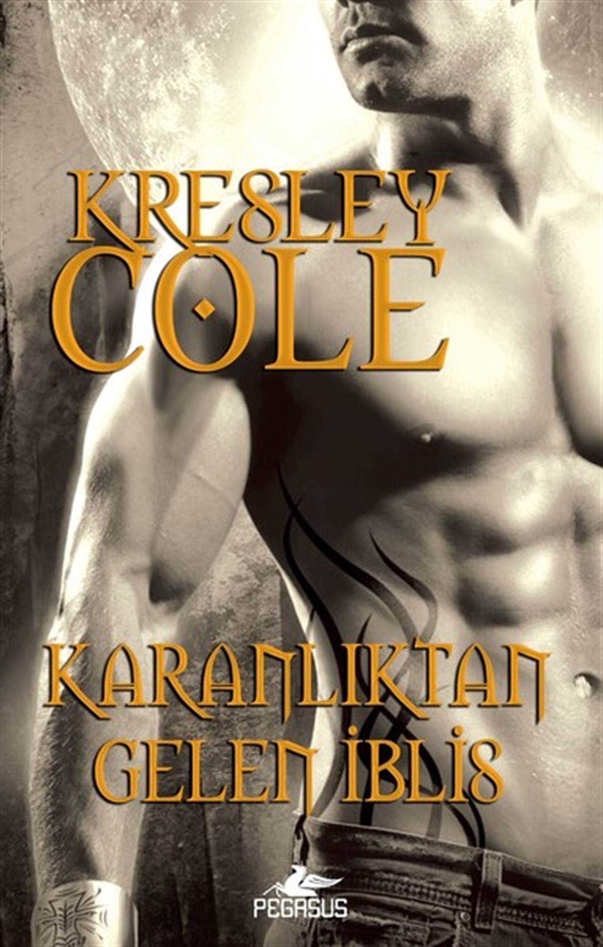 Ezgi GültekinFantasy und RomaneKaranlıktan Gelen İblis