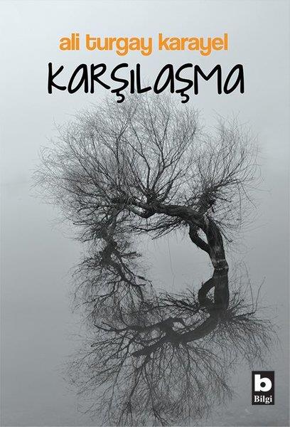 Ali Turgay KarayelTürkçe RomanlarKarşılaşma