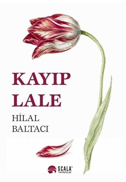 Hilal BaltacıTürk RomaniKayıp Lale
